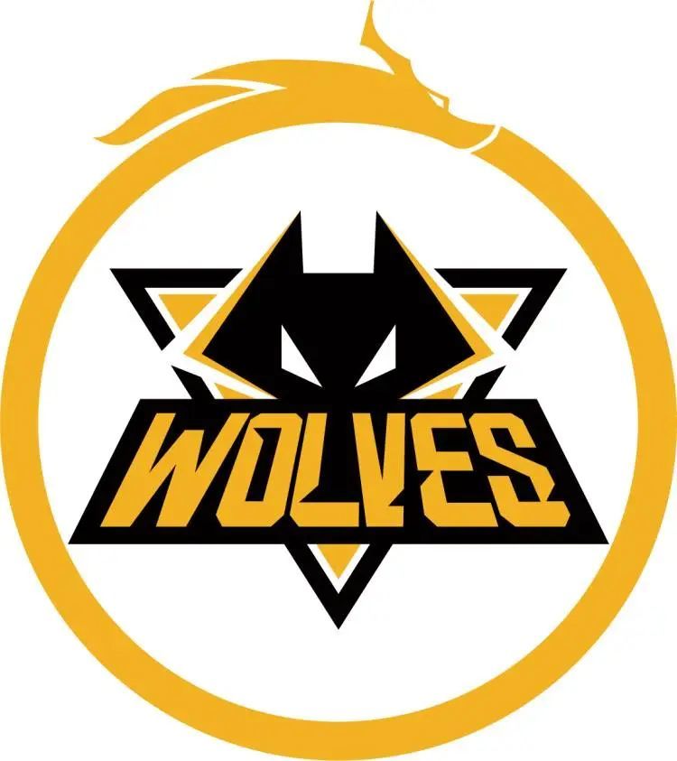 LNG Esports 的首发阵容今天：上路选手 ZIKA ，中路选手 haichao ，下路选手 Photic